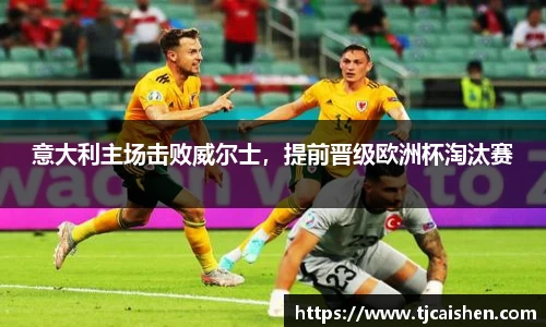 意大利主场击败威尔士，提前晋级欧洲杯淘汰赛