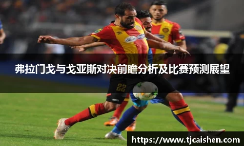 弗拉门戈与戈亚斯对决前瞻分析及比赛预测展望