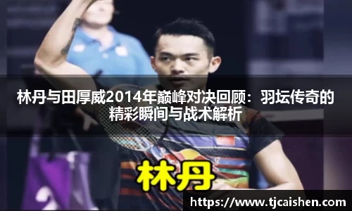 林丹与田厚威2014年巅峰对决回顾：羽坛传奇的精彩瞬间与战术解析
