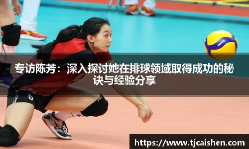 专访陈芳：深入探讨她在排球领域取得成功的秘诀与经验分享